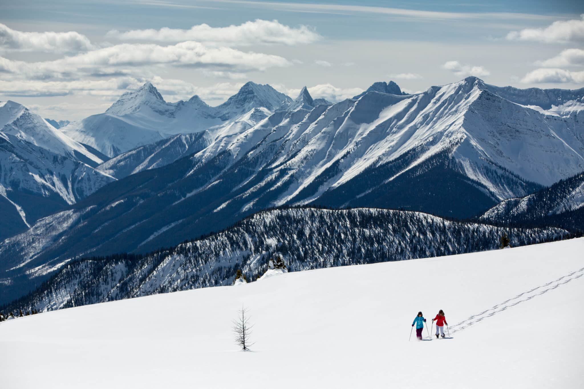 A Canmore Local’s Guide to Skiing in the Canadian Rocky Mountains