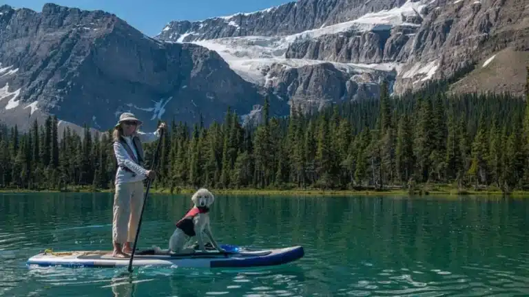 paddle board in the lake