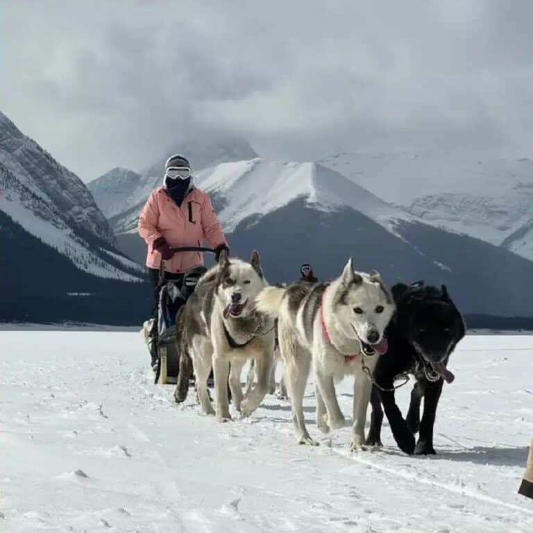 Musher and sled dog team running across frozen Spray Lakes near Canmore